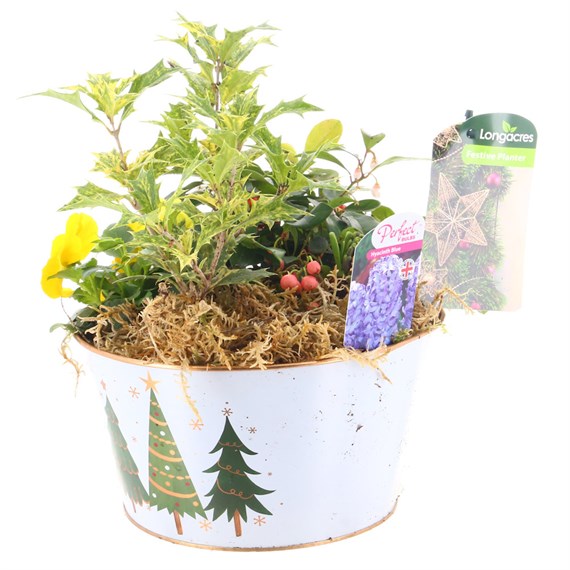 Christmas Festive Low Round Christmas Tree Design White Metal Bulb Bedding Planter