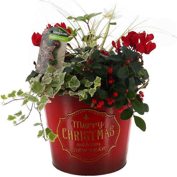 Christmas Festive Medium Red Gradient 'Merry Christmas & Happy New Year' Bedding Planter
