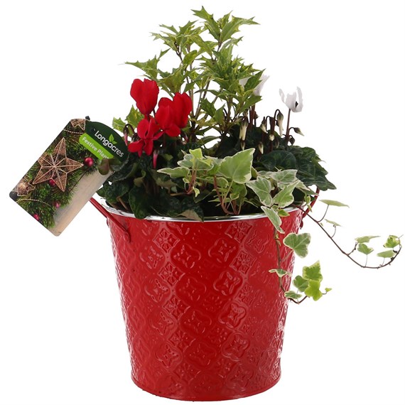 Christmas Festive Small Red Textured Tin Bedding Arrangement