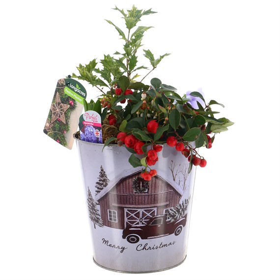 Christmas Festive Round Metal 'Merry Christmas' Barn Design Bulb Bedding Planter