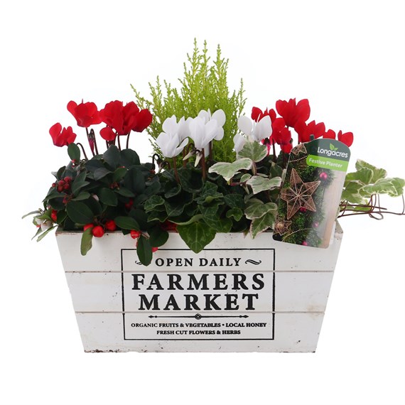 Christmas Festive Wooden 'Farmers Market' Design Trough Bedding Planter