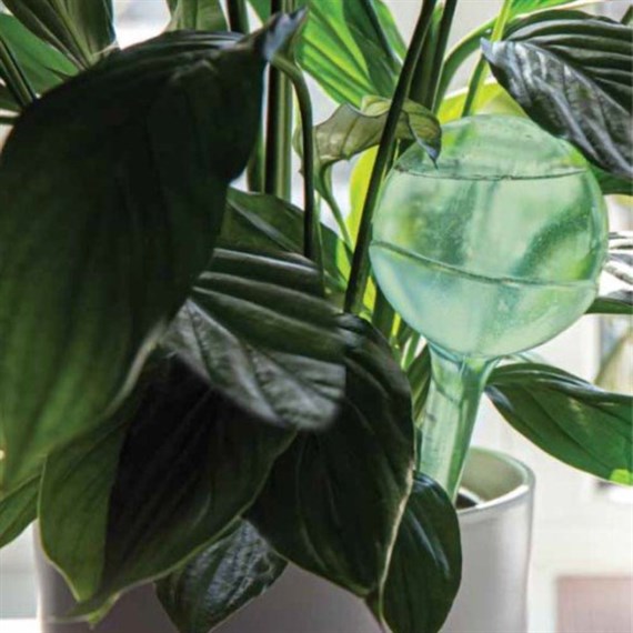 Creative Products Aqua Save Watering Globes 2 Pack (C7533)