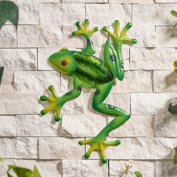 Creekwood Frog Glass Wall Art (43183)