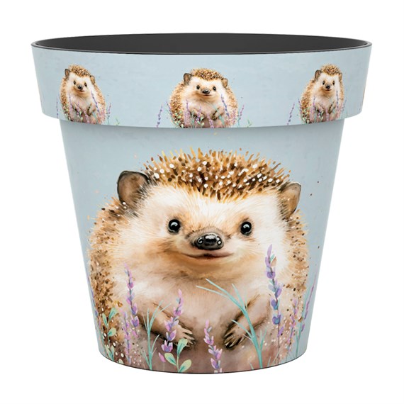 Creekwood Zest Garden Pot Hedgehog 15cm (6ZESTHH)