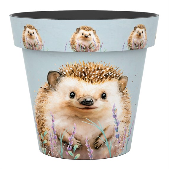 Creekwood Zest Garden Pot Hedgehog 22cm (8ZESTHH)