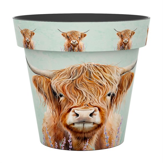 Creekwood Zest Garden Pot Highland Cow 15cm (6ZESTHC)