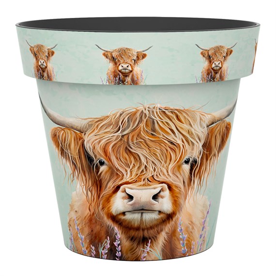 Creekwood Zest Garden Pot Highland Cow 22cm (8ZESTHC)