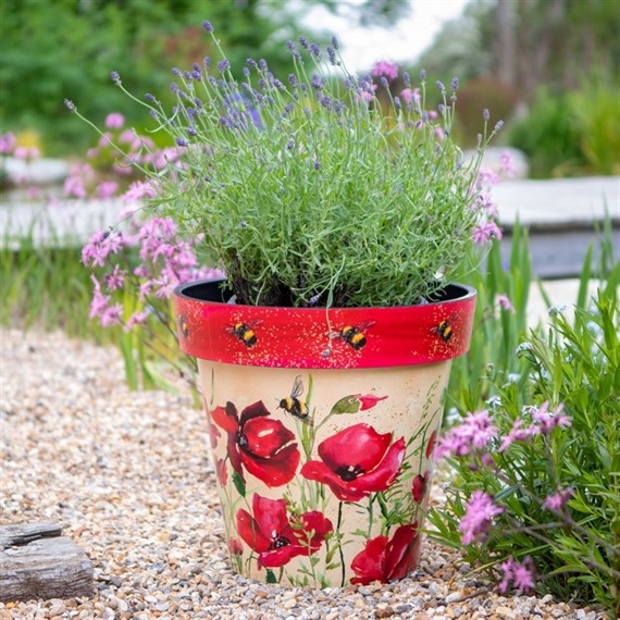 Creekwood Zest Pot Poppies & Bees 38cm (15ZESTPB)