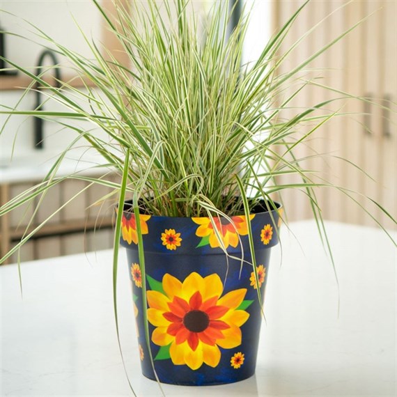 Creekwood Zest Pot Sunflower 22cm (8ZESTSF)