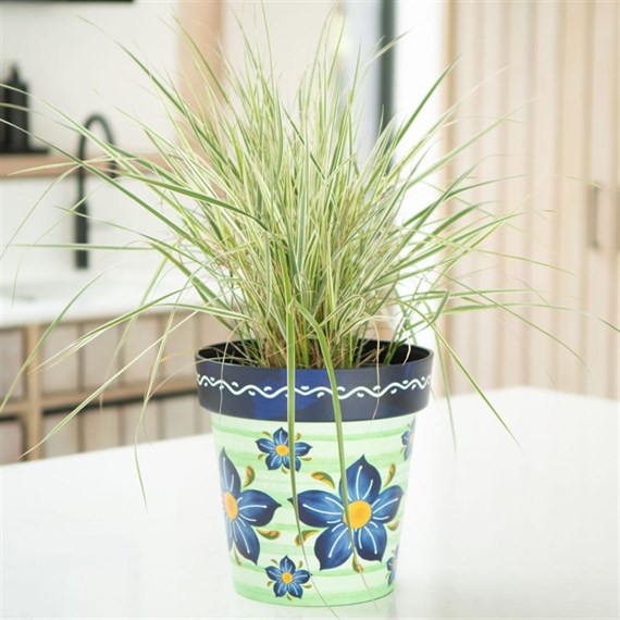 Creekwood Zest Pot Verde 22cm (8ZESTVE)