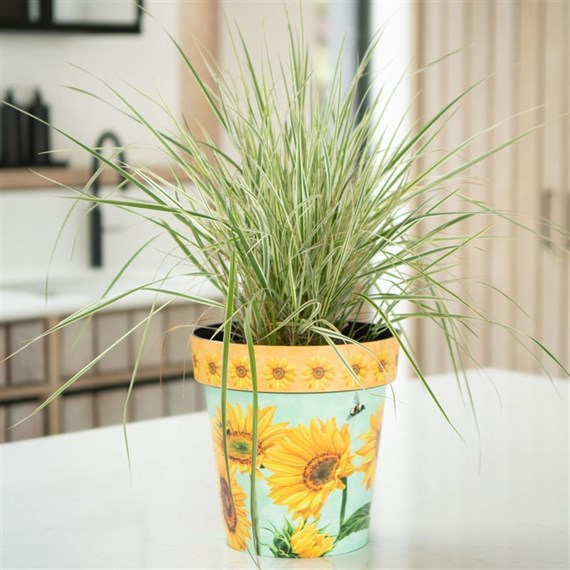 Creekwood Zest Pot Watercolor Sunflowers 22cm (8ZESTWF)