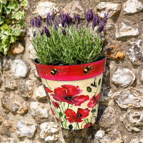 Creekwood Zest Wall Pot Poppies & Bees 23x25cm (ZESTWPPB)