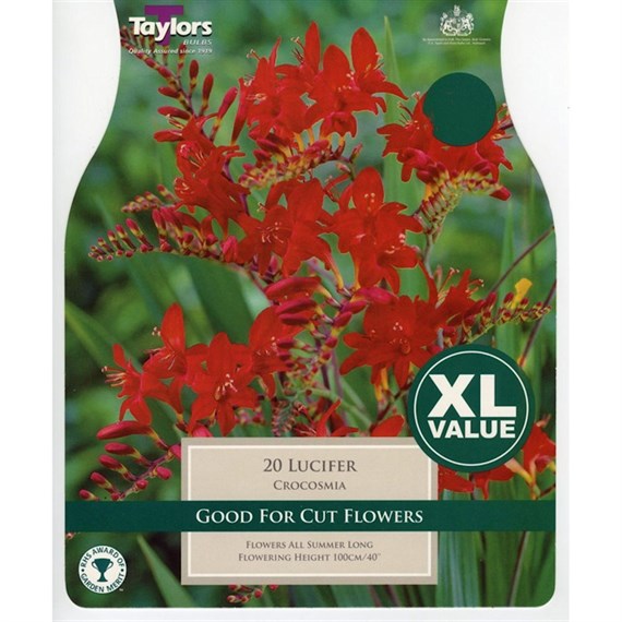Taylors Bulbs Crocosmia Lucifer (15 Pack) (XL564)