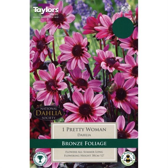 Taylors Bulbs Dahlia Pretty Woman (Single Pack) (TS439)