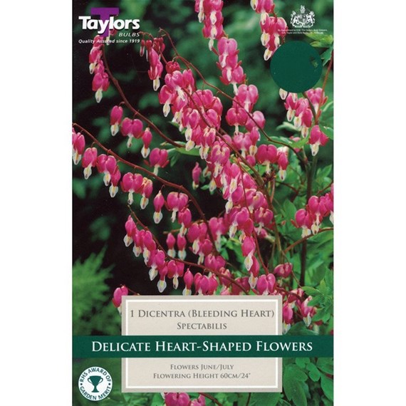 Taylors Bulbs Dicentra Spectabilis (Single Pack) (TS825)
