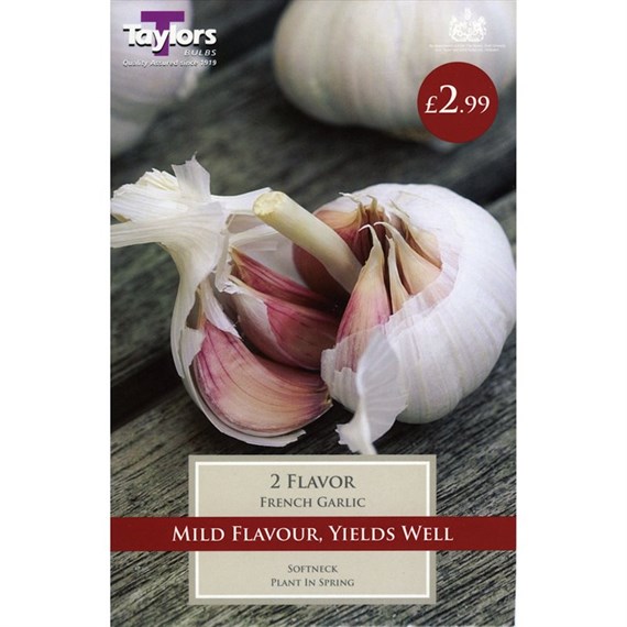 Taylors Bulbs French Garlic Arno (2 Pack) (SVEG9D)