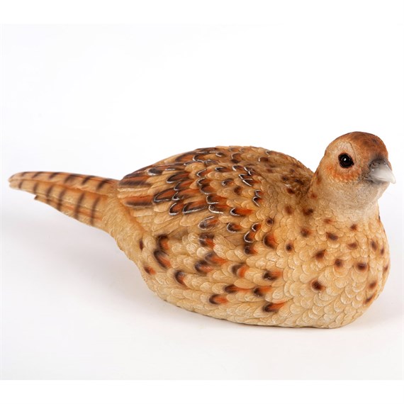 Garden Creations 37cm Female Pheasant Resin Garden Ornament (VM2869400)