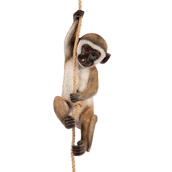 Garden Creations Climbing Monkey Garden Ornament (VM2850700)