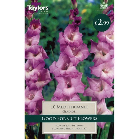Taylors Bulbs Gladioli Mediterranee (10 Pack) (TS112)