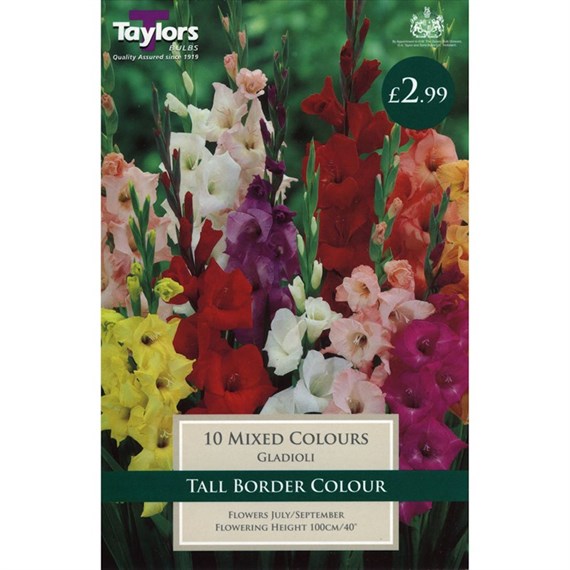 Taylors Bulbs Gladioli Mixed Colours (10 Pack) (TS119)