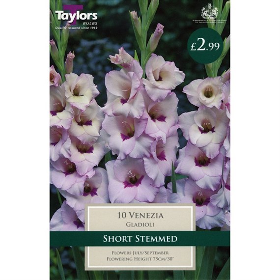 Taylors Bulbs Gladioli Venezia (10 Pack) (TS155)