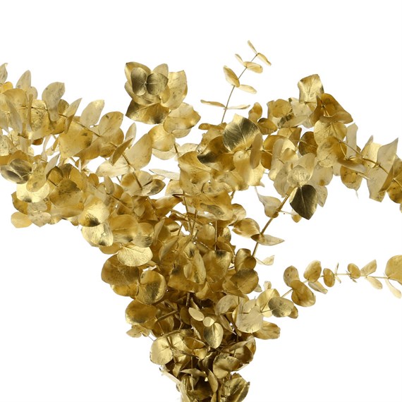 Gold Sprayed Eucalyptus Cinerea (x8 Individual Stems)