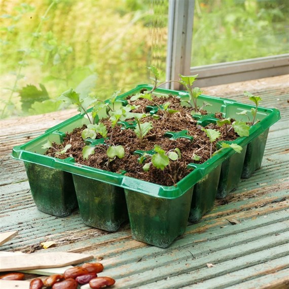 Gro-Sure Visiroot 12 Cell Seed Tray 8 Pack (70200217)