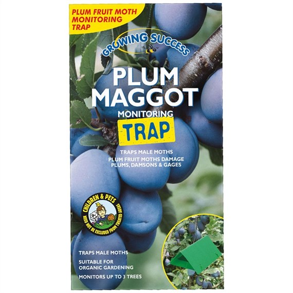 Growing Success Plum Maggot Monitoring Trap (FYSM129J)