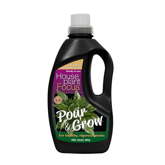 Growth Technology Houseplant Focus Pour & Grow 1L (GTHPFPG1)