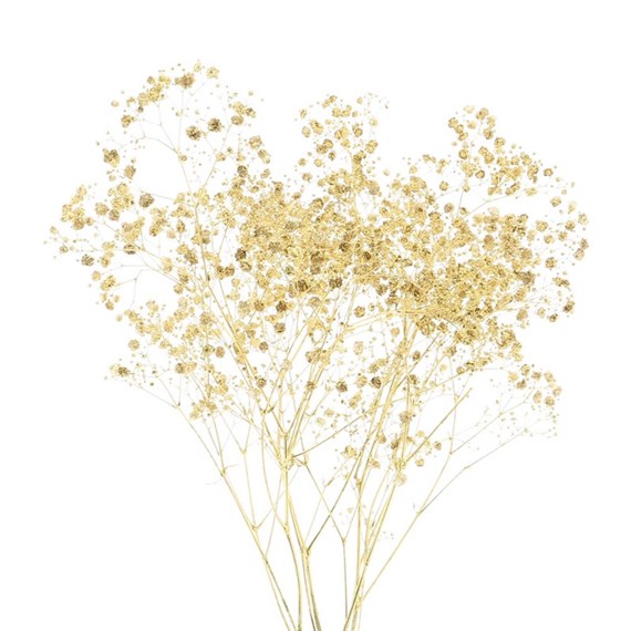 Gypsophilia Sprayed (x 5 Individual Stems) - Gold