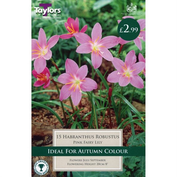 Taylors Bulbs Habranthus Robustus (12 Pack) (TS743)
