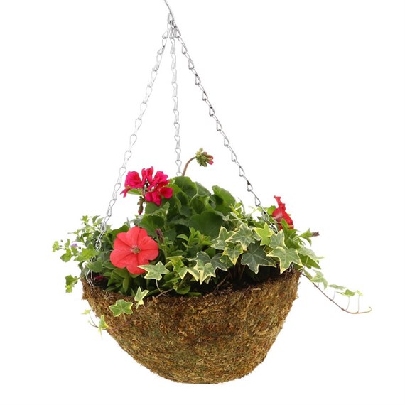 Hanging Seasonal Bedding Designer Feather Moss Basket 14 Inches - Summer