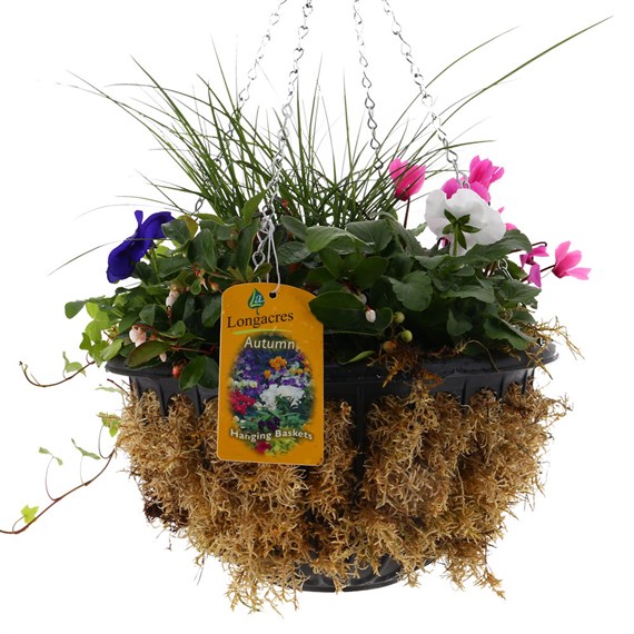 Hanging Seasonal Mossed Bedding Basket 12 Inches - Autumn