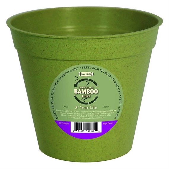 Haxnicks 8 Inch (20cm) Bamboo Biodegradable Pot (Single) Sage Green (Pot190101)
