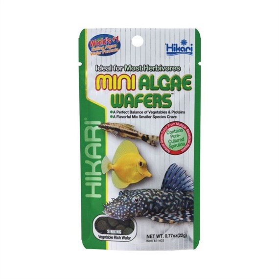 Hikari Mini Algae Wafers 20g Fish Food Aquatic