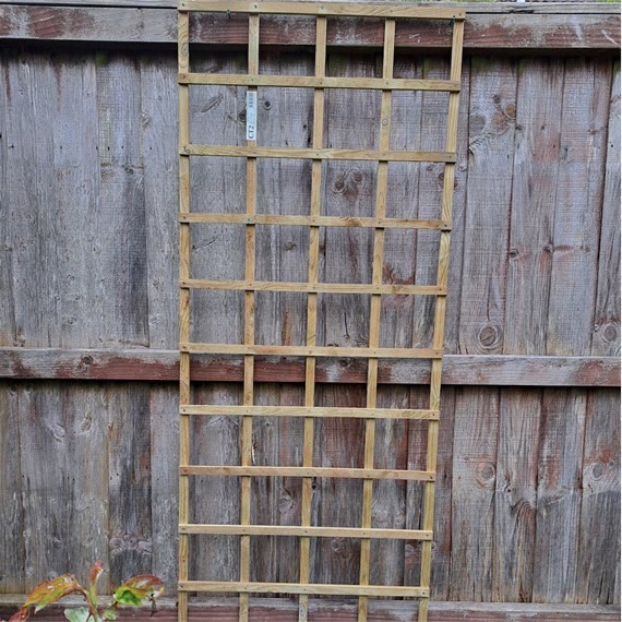 Honeysuckle 6ft x 2ft Natural Square Trellis (0320)