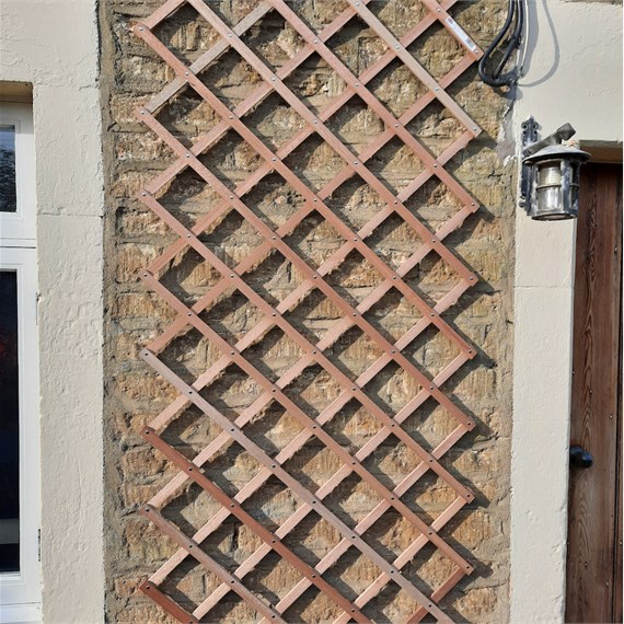 Honeysuckle 6ft x 3ft Natural Riveted Trellis (7030)