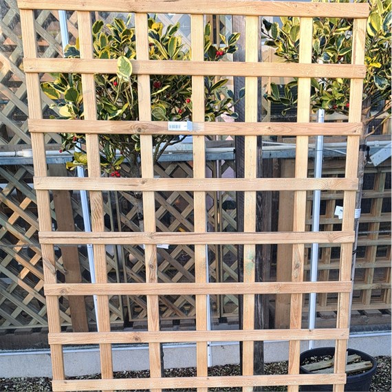 Honeysuckle 6ft x 3ft Natural Square Trellis (0330)