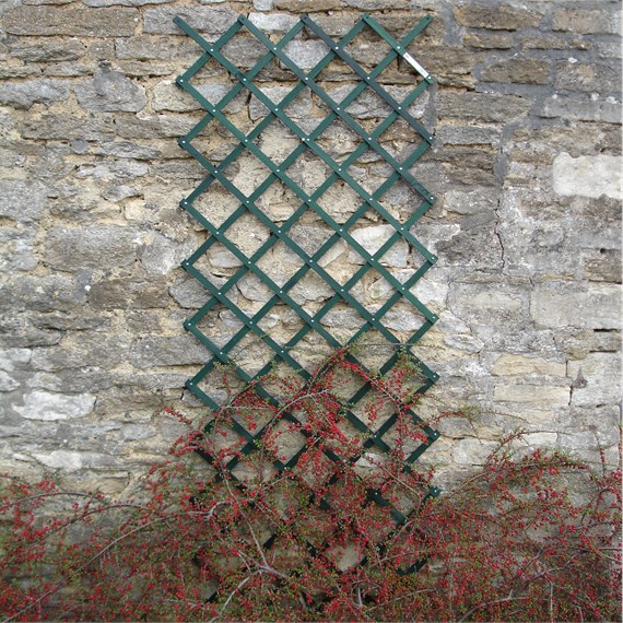 Honeysuckle 6ft x 4ft Green Riveted Trellis (7740)