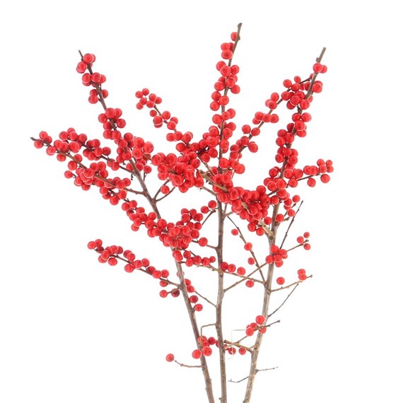 Ilex Berries (x 3 Individual Stems) - Red