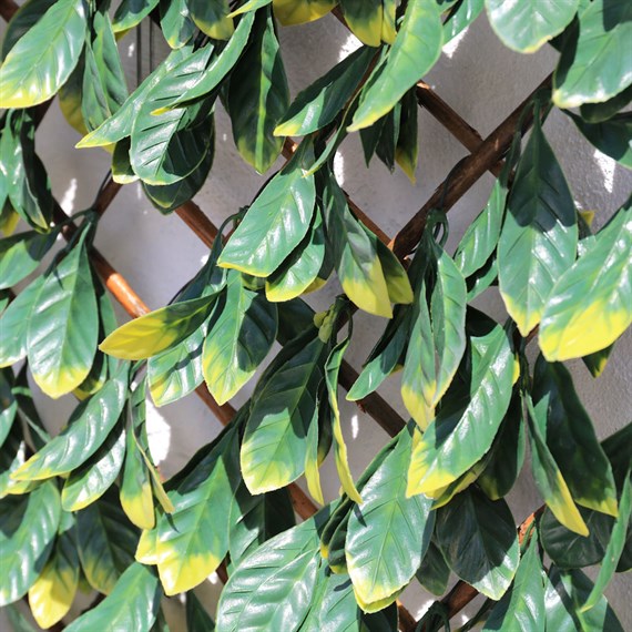 Mercer 100 x 200cm Laurel Leaf Garden Trellis (YOJ-828)