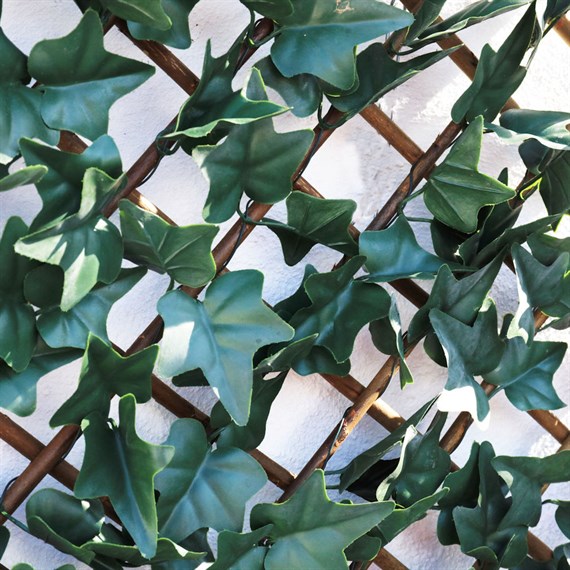 Mercer 100 x 200cm Ivy Leaf Willow Garden Trellis (YOJ-777)
