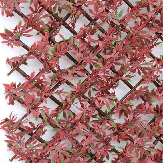 Mercer 100 x 200cm Red Acer Garden Trellis (YOJ-772)