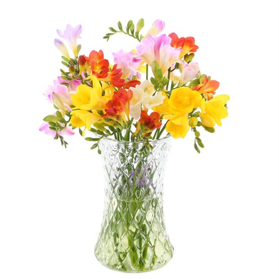 Mixed Freesia Letter Box Flowers