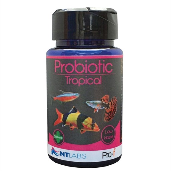 NT Pro-F Probiotic Tropical 120g Fish Food Aquatic