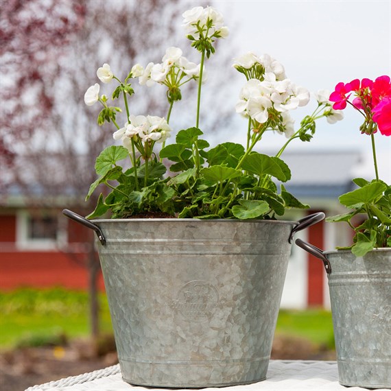 Panacea 10 Inch Washtub Planter - Aged Galvanized (83251)