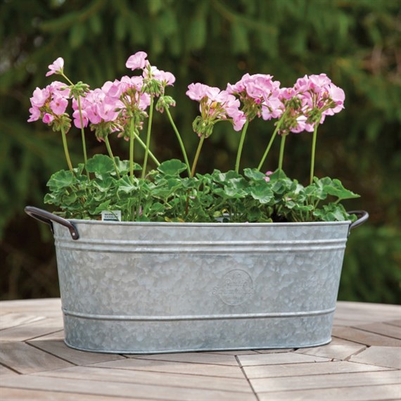 Panacea 16 Inch Oval Washtub Planter- Aged Galvanized (83252)