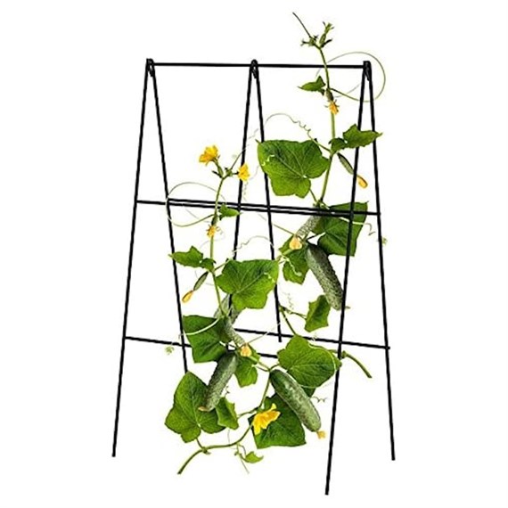 Panacea Black Folding A-Frame Cucumber Trellis (83831)