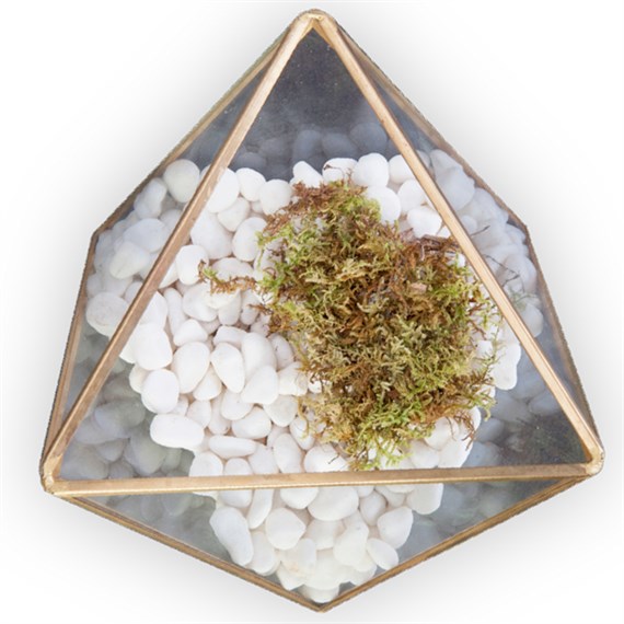 Panacea White River Pebbles Pot Toppers 1.8Kg (77526)