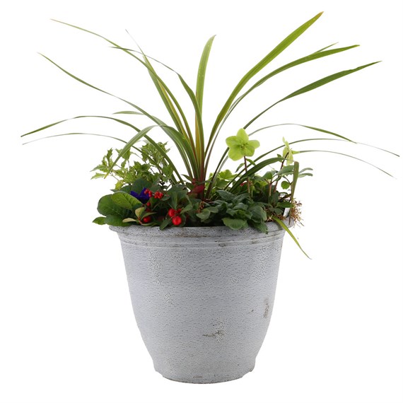 Planted Birch Oval Pot 14 Inches Outdoor Bedding Container - Spring